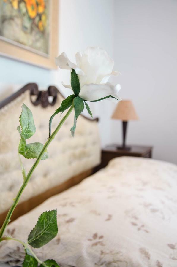 Penthouse Presernovo Nabrezje Πιράν Εξωτερικό φωτογραφία